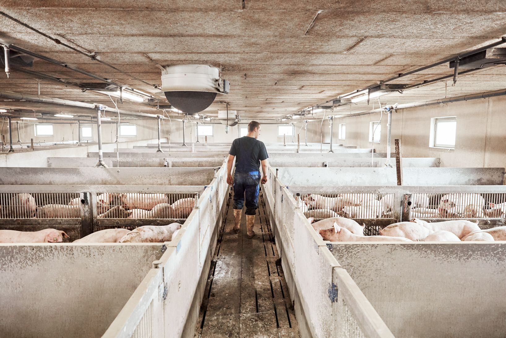 10755 Danepork Kiddegård 032